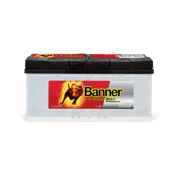 Banner Power Bull Pro P10040 12v 100ah 820A