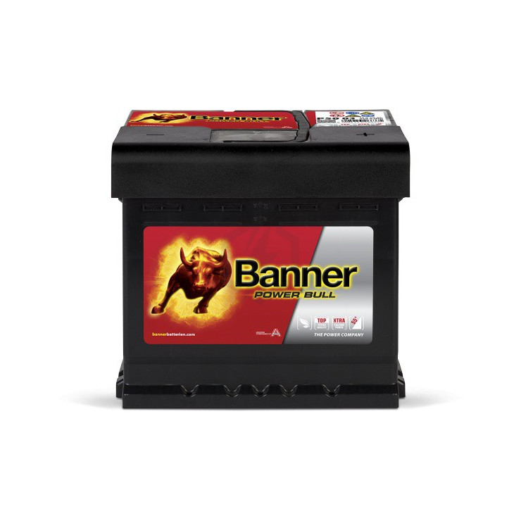 Banner Power Bull  P5003 12v 50AH 450A