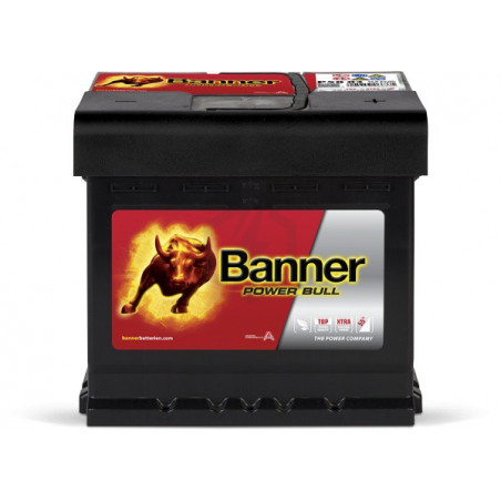 Banner Power Bull  P5003 12v 50AH 450A