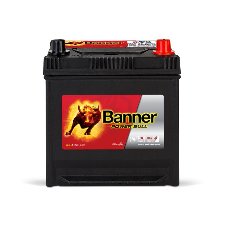 Banner Power Bull  P5041 12v 50AH 420A