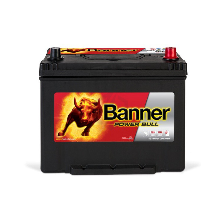 Banner Power Bull  P8009 12v 80AH 640A