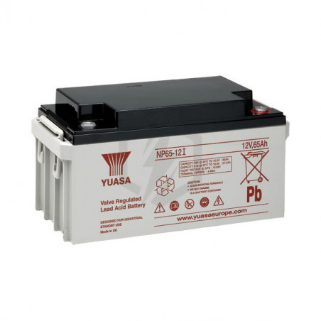 Batterie plomb étanche NP65-12 Yuasa 12V 65ah