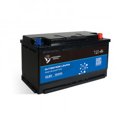 Batterie LiFePO4 ULS-12-100...