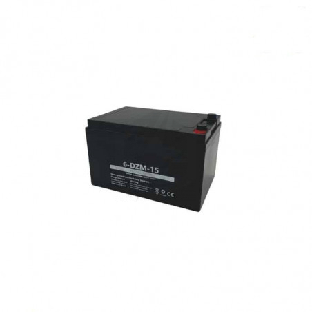 Batterie AGM 6-DZM-15 12v 12ah