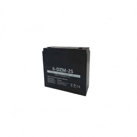 Batterie AGM 6-DZM-25 12v 25ah