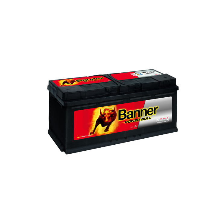 Banner Power Bull Pro P10040 12v 100ah 820A L5D