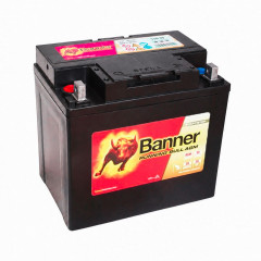 Batterie Starting Bull...